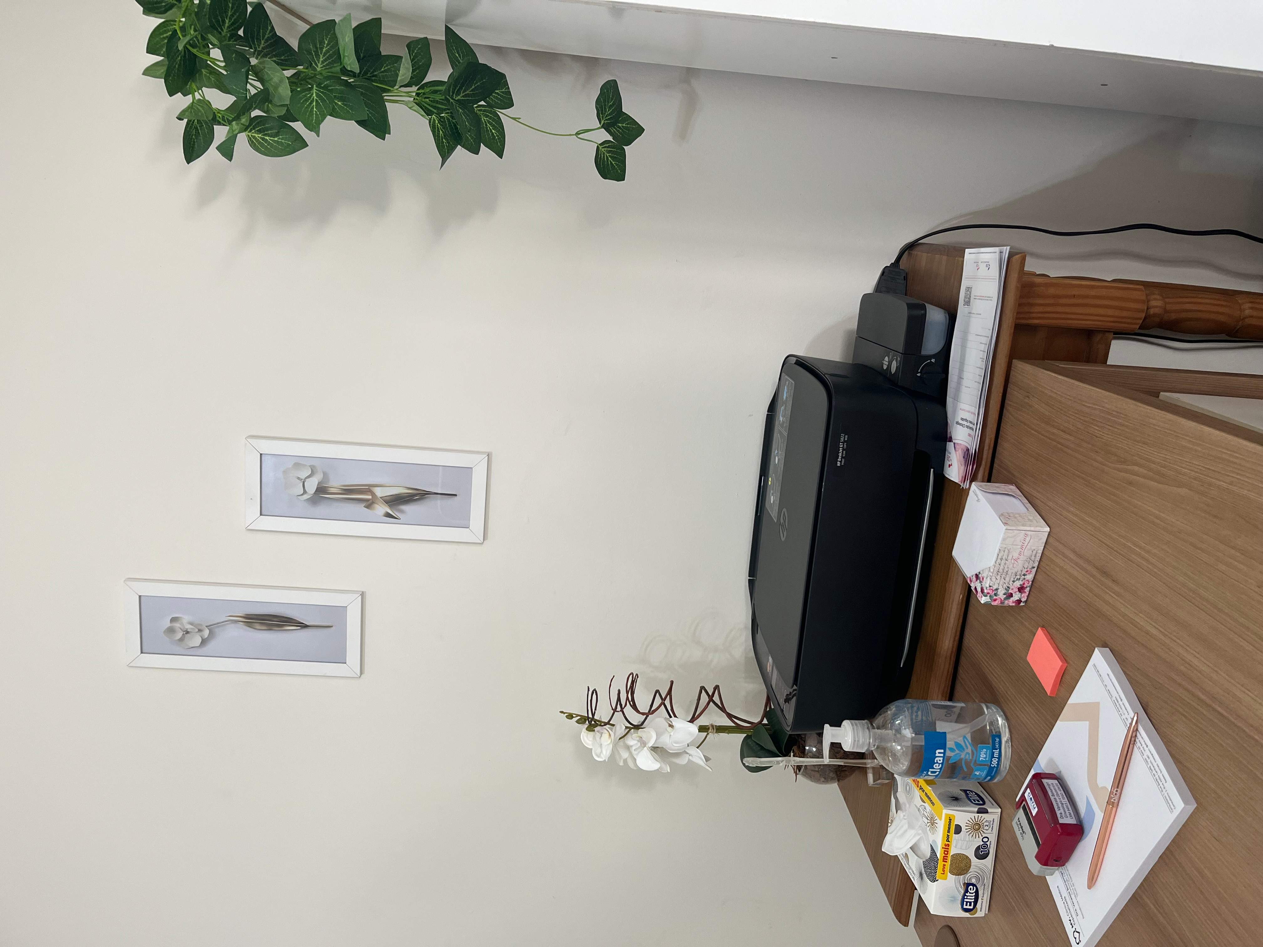 Ginecologista | Dra. Vanessa Bonamigo